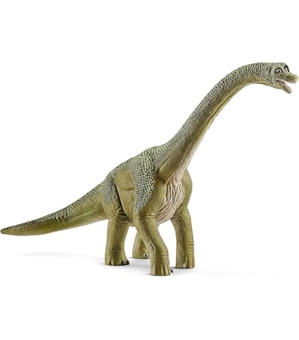 Amazon | サファリ レプリカ トリケラトプス | プラモデル 通販