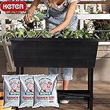KETER　Urban bloomr アーバンブルーマー栽培セット ブラック (スタンド植木鉢 高床式 菜園 プランター 家庭菜園キット ケター ケーター 野菜 ベジタブル 土付）