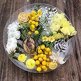 透明F ミモザ ドライフラワー ペッパーベリー 詰め合わせ 花材