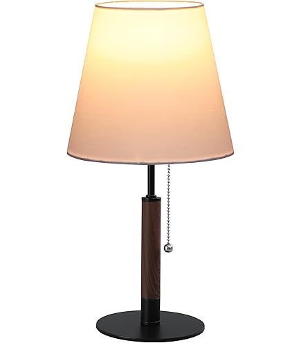 Amazon | ダイコウデンキ LEDスタンドライト DXL-81357 | 大光