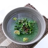 (水草)私の小さなアクアリウム ～シャリっと益子 DE おまかせ水上葉セット(彩 姫睡蓮鉢 焼締)～ 本州・四国限定[生体]