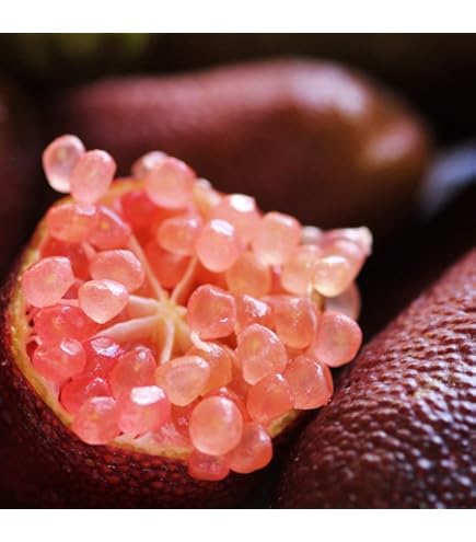 Amazon.co.jp: フィンガーライム苗 4.5号ポット 接木苗 (グリーン1株