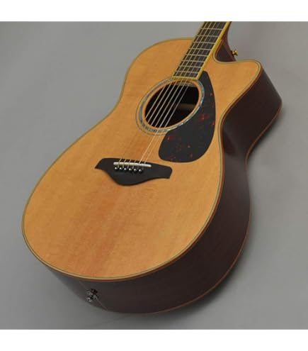 Amazon.co.jp: YAMAHA FSX825C BS(ブラウンサンバースト