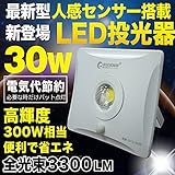 GOODGOODS LED 投光器 30W 300W相当 作業灯 屋外 防水 LEDライト 昼光色 広角 防犯ライト 【一年保証】GYZ-30W