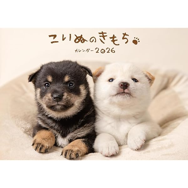 大きい犬と小さい犬のカレンダー いぬのきもち大判カレンダー2026 | いぬのきもち特別編集 |本 | 通販