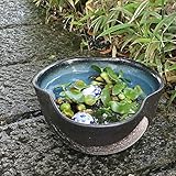 信楽焼 10号青釉ハケメ三方曲げすいれん鉢 睡蓮鉢 スイレン鉢 金魚鉢 水鉢 陶器 su-0151