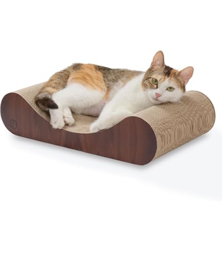 Amazon | ○B-blast キャットホイール ビーブラスト 猫用品 おもちゃ