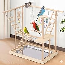 鳥インコ止まり木バードジムバードアスレチック卓上型 鳥インコ止まり木バードジムバードアスレチック卓上型 楽天市場