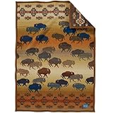Pendleton Prairie Rush Hour Muchacho Wool Baby Blanket by Pendleton [並行輸入品]
