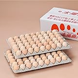 [ チルド ] 太陽卵 ピンク玉 MSサイズ 108個入り (108個入り／100個＋破損保証8個) 業務用 卵 有名ホテル使用