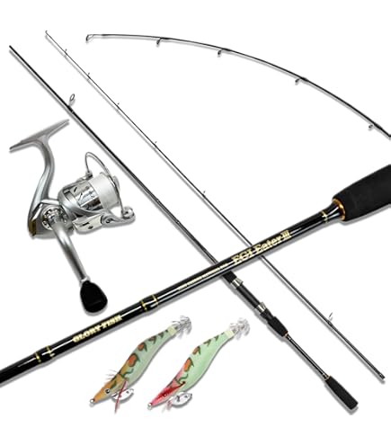 Amazon | エギング入門 オールインワン釣りセット PEライン糸巻き済