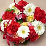 674【お祝い 母の日　誕生日】【リース】【クリスマス】生花のリース・赤いカーネーションと白いガーベラ