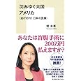 沈みゆく大国 アメリカ 〈逃げ切れ! 日本の医療〉 (集英社新書)