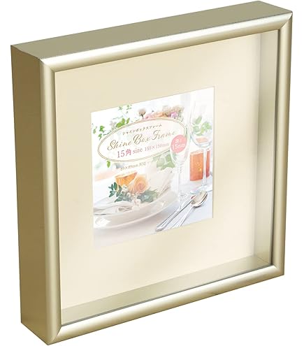 Amazon.co.jp: [LSDZW] 額縁 A4 20*25cm 木製 立体額 アートボックス