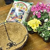 店長おまかせ季節の花苗4鉢&ハンギングプランター&培養土セット ガーデニング 園芸 苗