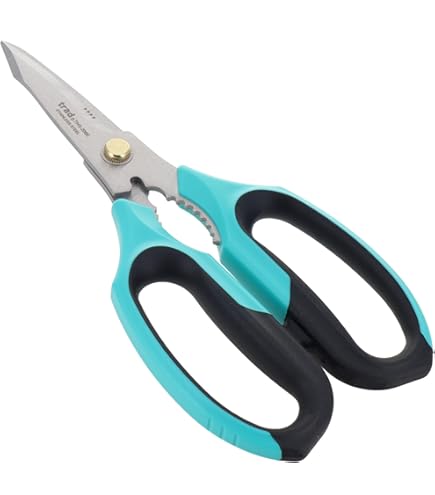 Amazon | エイユー ファミリーラインはさみ・フッ素 (オフィス) AF-7