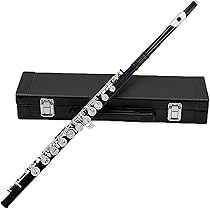 ニッケルメッキフルート Amazon.co.jp: 16キーカラー フルートセット C クローズドホール