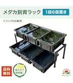 Amazon | おひさまめだか メダカ飼育ラック (黒, 1段8個置き