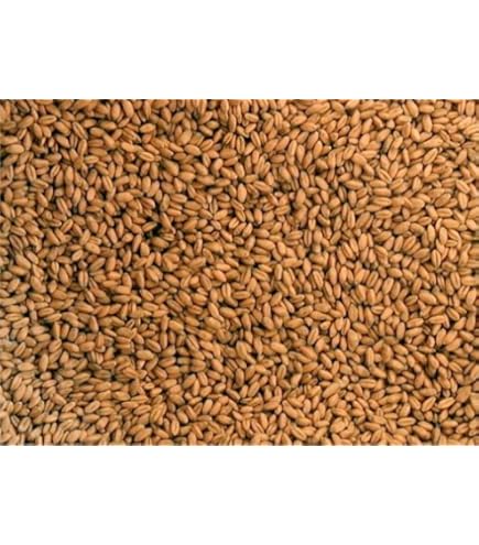 Amazon.co.jp: 小麦 玄麦 自然栽培(農薬不使用 化学肥料不使用) 900g