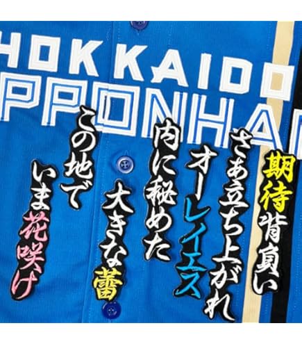 Amazon.co.jp: ファイターズ 刺繍ワッペン レイエス 応援歌 白