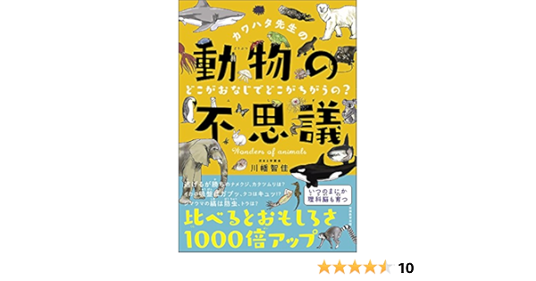 カワハタ先生の動物の不思議 どこがおなじでどこがちがうの 花まる学習会の本 川幡智佳 本 通販 Amazon