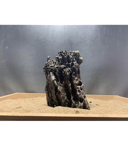 Amazon.co.jp: 3ADA龍王石2.5キロ☆水槽 レイアウト