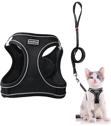 Amazon | Rogz KiddyCat Harness & Lead Sets H型 猫用 ハーネス