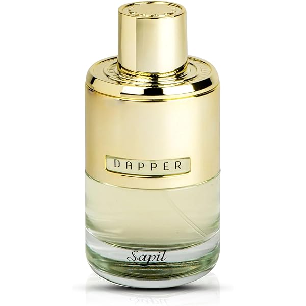 Sapil Bound for Men 3.4 oz EDT Spray : Amazon.com.au: Beauty