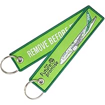 Amazon.co.jp: [keychain] ANA Future Promise Jet グリーン
