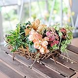 寄せ鉢 寄せ植え 鉢植え プリティーミックス