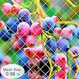 Agfabric Twisted Knotless魚ネットfor Fishing Shrimpトロール – 10パック – ポリエチレン素材と強力な耐久性 – anti-stretch &簡単に広がる