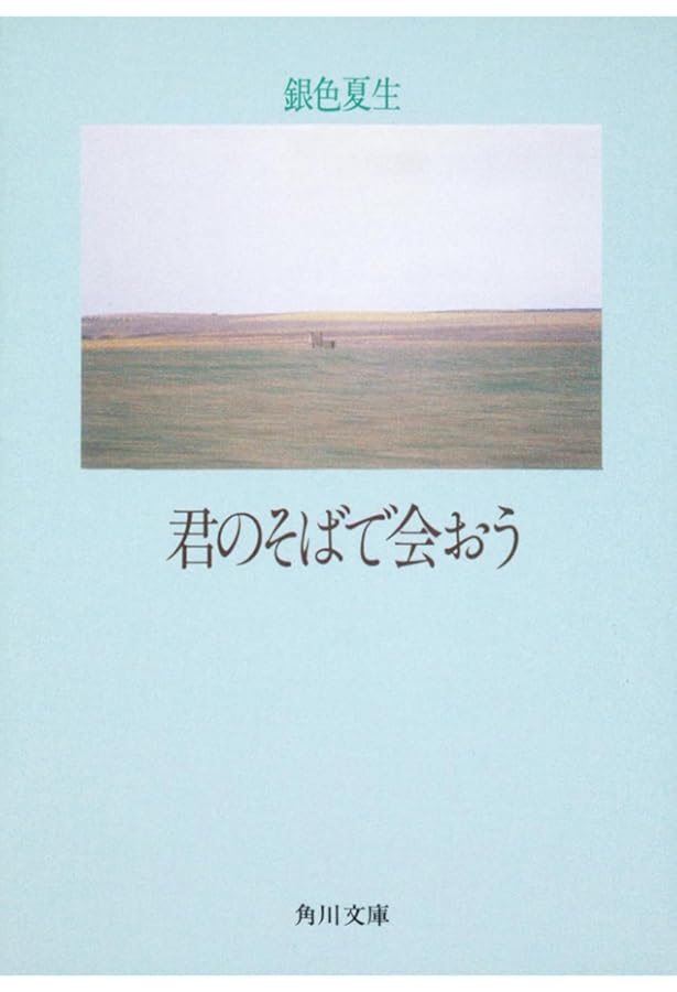 Amazon.co.jp: 銀色夏生-その瞳の奥にある自由 (【責任編集 銀色夏生