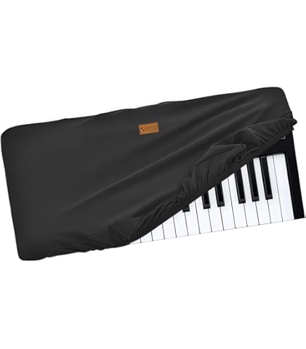 Amazon.co.jp: DECKSAVER(デッキセーバー)DJバッグ・ケース NI