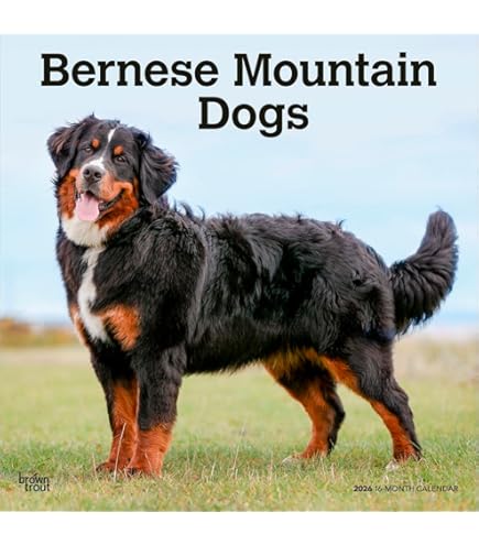 Amazon.co.jp: THE DOG カレンダー 2025 壁掛け 大判サイズ