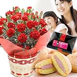 母の日 花とスイーツ ギフト カーネーション 鉢植え 5号鉢 レッド ときめいて 苺 ブッセ セット プレゼント 用 ギフト ボックスでお届け
