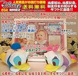 Disneyディズニー（のんびりドナルド・デイジー）ぬいぐるみと、高級フォトフレーム（パラダイス・ピンク）のセット、出産祝い、出産記念ギフト、誕生日プレゼント、誕生日ギフト、送料無料(沖縄と離島を除く