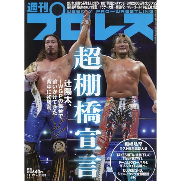 プロレス雑誌　7冊セット 週刊プロレス 7月 9日号（WEEKLY PRO-WRESTLING No.2362） | BBM
