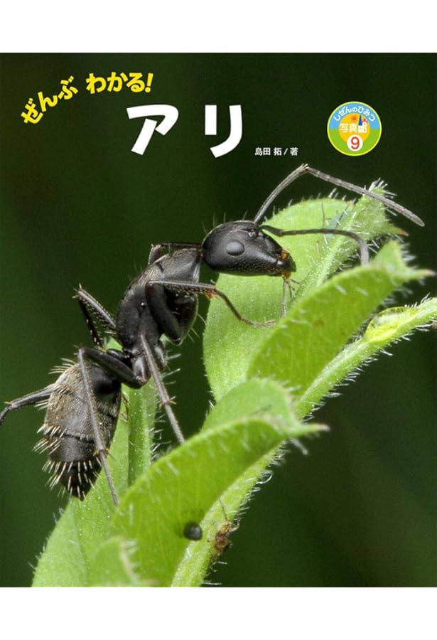 Amazon.co.jp: 日本産アリ類全種図鑑 : 日本産アリ類デ-タベ-スグル-プ