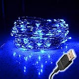 100 Fairy String LED Lights - Indoor/Outdoor, Waterproof, Flexible Copper Wire with USB 33 Ft/10M (B