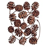 東京堂 天然素材 メタセコイアの実 (25コ入り) DT066102