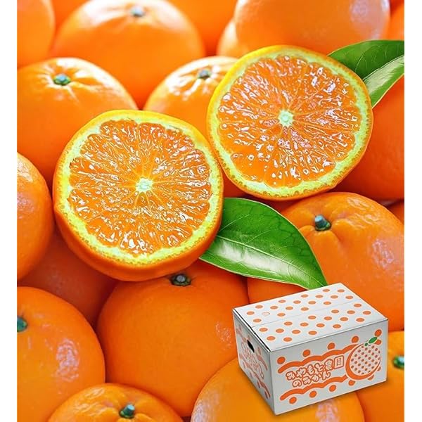 Amazon.co.jp: Miyazaki Prefecture Sun Shizuku Special Multi