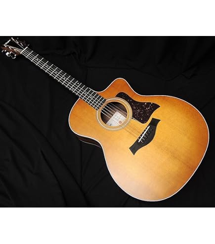 Amazon | Taylor / 114ce Natural with ES-2 Pickup System テイラー