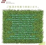 超ストロングタイプ 　人工芝 ロール ロールタイプ リアル　人工芝 　人工芝生 耐火　芝生 3.5mmタイプ 幅1m×7m ベランダ バルコニー テラス 庭 緑化 超寿命 重歩行 (スプリングタイプ)