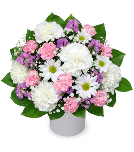 Amazon.co.jp: Flower Way フラワーウェイ 西野華 正規品 DVD Amazon.co.jp: Flower Way フラワーウェイ 西野華 正規品 DVD