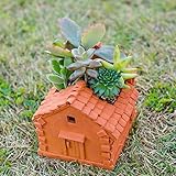 多肉植物 寄せ植え テラコッタ ハウス ( D タイプ )