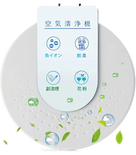 Amazon | Airness (エアネス) 低濃度オゾン発生装置 ANS-1601 