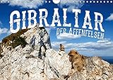 Gibraltar - der Affenfelsen (Wandkalender 2019 DIN A4 quer): Europas einzige wildlebende Affen in einer atemberaubenden Landschaft (Monatskalender, 14 Seiten )