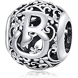 MEETCCY Alphabet Initial Charm Bead 925 Sterling Silver Letter A K M S Charm Letter Charms for Bracelets