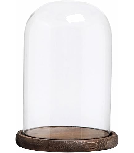 クリアガラス ベル型　ドーム　クロッシュ Amazon.co.jp: KMwares ガラスベル型ドーム3個(5.7インチ/4.9