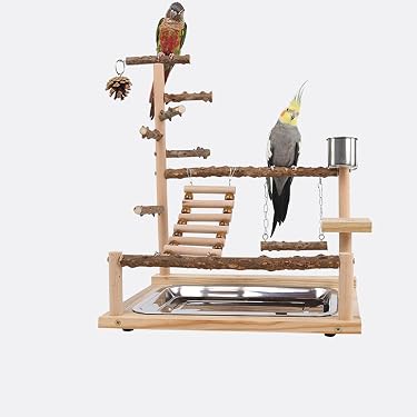 Amazon.co.jp 最新リリース: 鳥用品 の新着ランキングです。